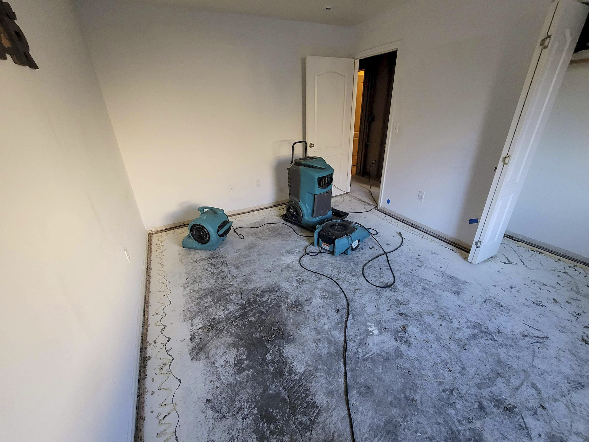 Common Types of Water Damage and How to Avoid Them Year Round