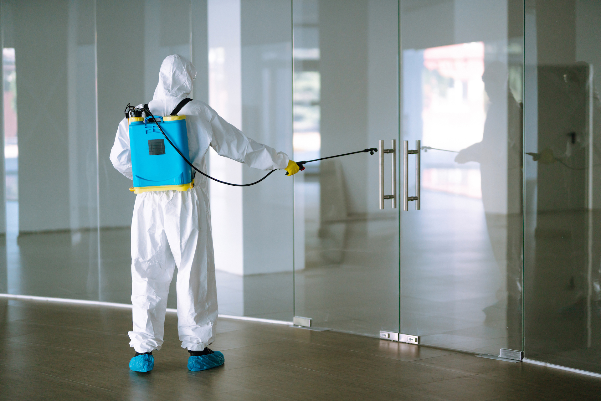 The Difference Between Mold Restoration and Remediation