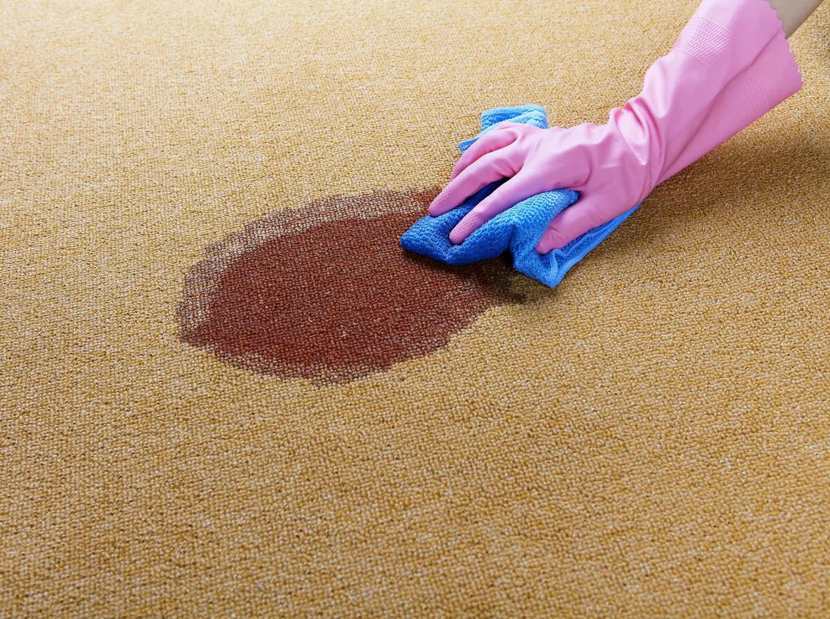 Gloved hand cleaning a wet spot on floor