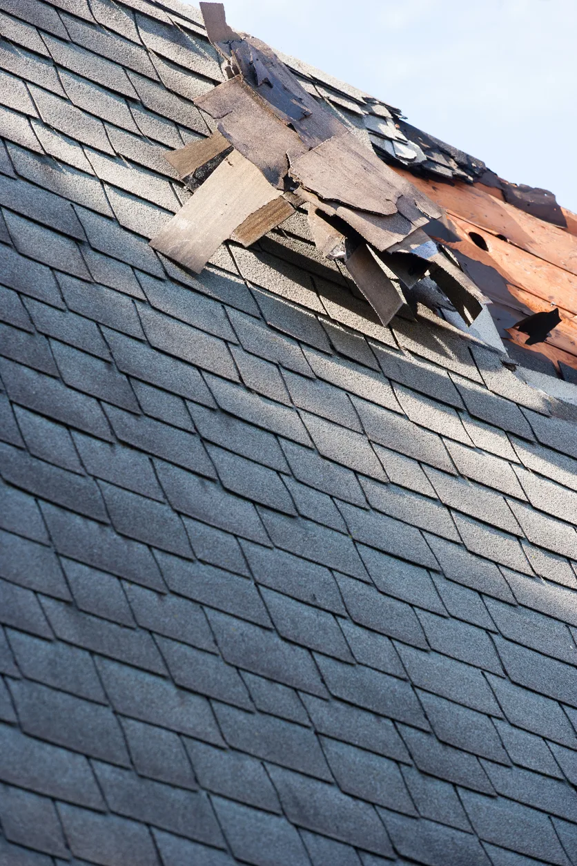 roof shingle damage from storm